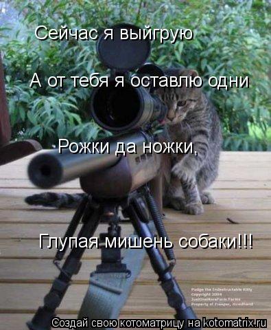 Котоматрица: Сейчас я выйгрую А от тебя я оставлю одни Рожки да ножки, Глупая мишень собаки!!!