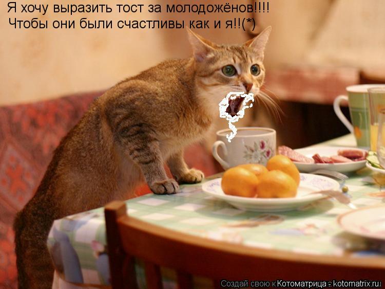 Я хочу выразить тост за молодожёнов!!!! Чтобы они были счастливы как и я!!(*)... Котоматрица: Я хочу выразить тост за молодожёнов!!!! Чтобы они были счастливы как и я!!(*)