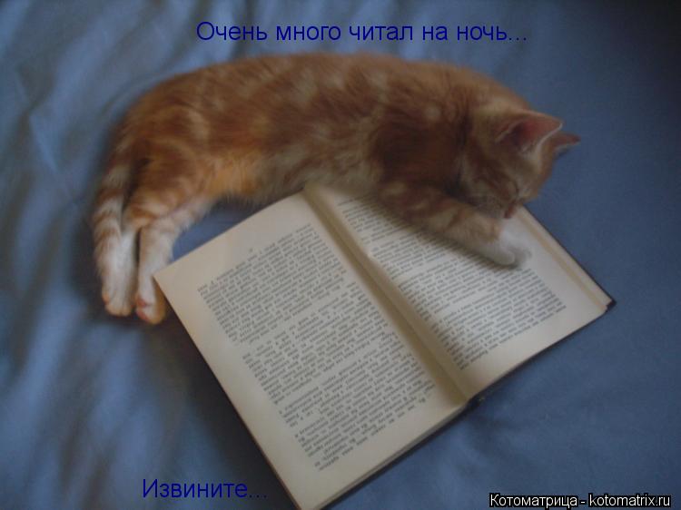 Очень много читал на ночь... Извините...... Котоматрица: Очень много читал на ночь... Извините...
