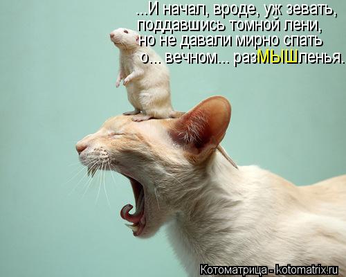 ...И начал, вроде, уж зевать, поддавшись томной лени, но не давали мирно спать о... вечном... раз ... Котоматрица: ...И начал, вроде, уж зевать, поддавшись томной лени, но не давали мирно спать о... вечном... раз ленья... МЫШ