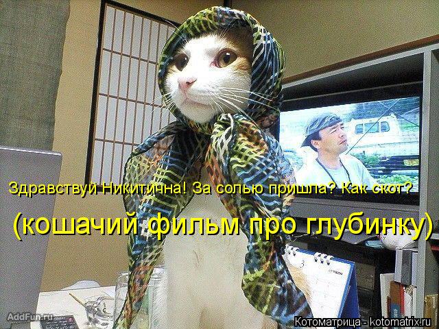 Котоматрица: Здравствуй Никитична! За солью пришла? Как скот? (кошачий фильм про глубинку)