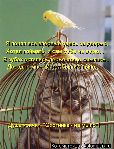 Я понял все впервые здесь за дверью, Хотел поймать, и сам себе не верю... В зубах остались перья-птиц... Котоматрица: Я понял все впервые здесь за дверью, Хотел поймать, и сам себе не верю... В зубах остались перья-птица смылась... Досадно мне...И нет былого пыла