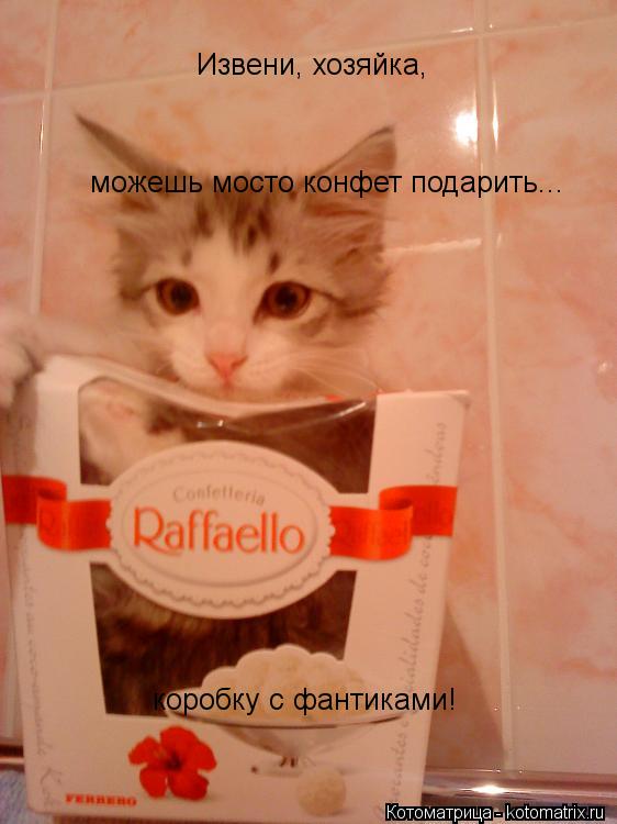 Извени, хозяйка, можешь мосто конфет подарить... коробку с фантиками!... Котоматрица: Извени, хозяйка, можешь мосто конфет подарить... коробку с фантиками!