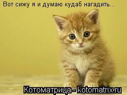 Вот сижу я и думаю кудаб нагадить...... Котоматрица: Вот сижу я и думаю кудаб нагадить...