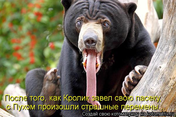 После того, как Кролик завел свою пасеку, с Пухом произошли страшные перемены...... Котоматрица: После того, как Кролик завел свою пасеку, с Пухом произошли страшные перемены...