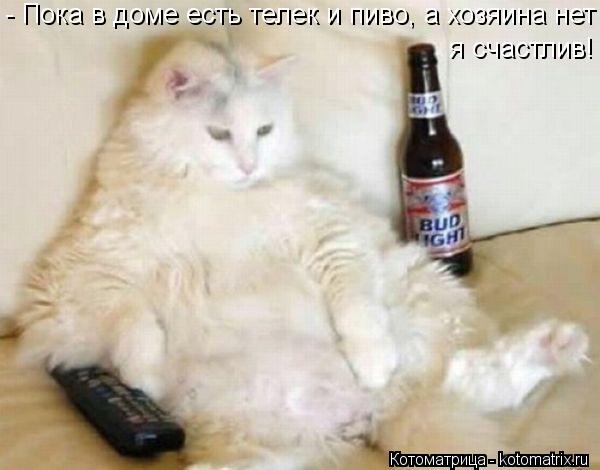 Котоматрица: - Пока в доме есть телек и пиво, а хозяина нет я счастлив!