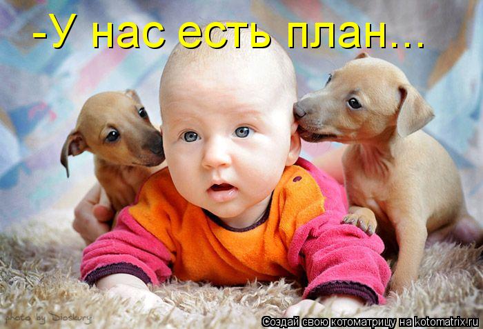 Котоматрица: -У нас есть план...