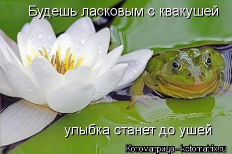Котоматрица: Будешь ласковым с квакушей улыбка станет до ушей