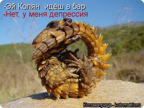 Котоматрица: -Эй Колян  идёш в бар -Нет, у меня депрессия