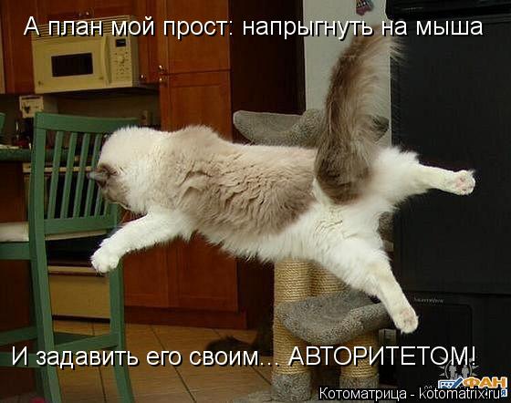 Котоматрица: А план мой прост: напрыгнуть на мыша И задавить его своим... АВТОРИТЕТОМ!