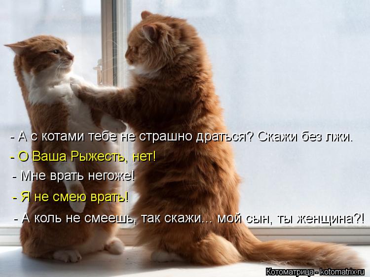 - А с котами тебе не страшно драться? Скажи без лжи. - О Ваша Рыжесть, нет! - Мне врать негоже! - Я н... Котоматрица: - А с котами тебе не страшно драться? Скажи без лжи. - О Ваша Рыжесть, нет! - Мне врать негоже! - Я не смею врать! - А коль не смеешь, так скажи... мой