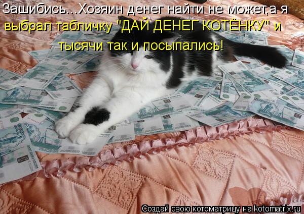 Котоматрица: Зашибись...Хозяин денег найти не может,а я выбрал табличку "ДАЙ ДЕНЕГ КОТЁНКУ" и  тысячи так и посыпались!