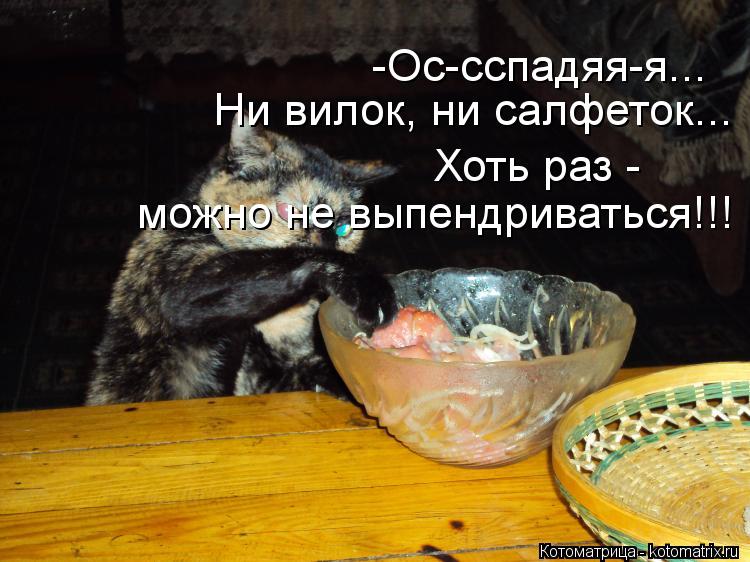 Котоматрица: -Ос-сспадяя-я...   Ни вилок, ни салфеток... можно не выпендриваться!!! Хоть раз -