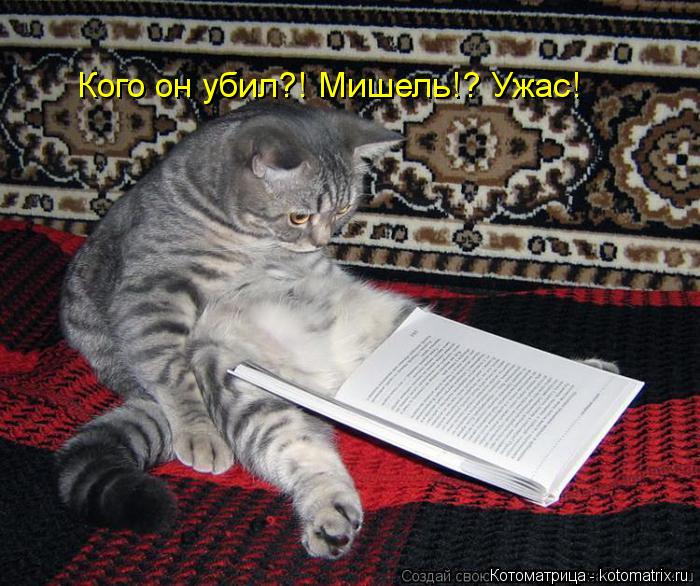 Кого он убил?! Мишель!? Ужас!... Котоматрица: Кого он убил?! Мишель!? Ужас!