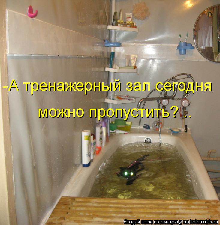 Котоматрица: -А тренажерный зал сегодня  можно пропустить? ..