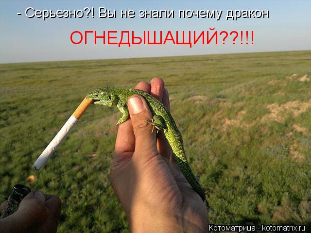 Котоматрица: - Серьезно?! Вы не знали почему дракон  ОГНЕДЫШАЩИЙ??!!!