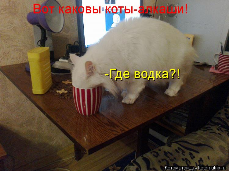 Вот каковы коты-алкаши! -Где водка?!... Котоматрица: Вот каковы коты-алкаши! -Где водка?!