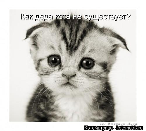 Как деда кота не существует?... Котоматрица: Как деда кота не существует?