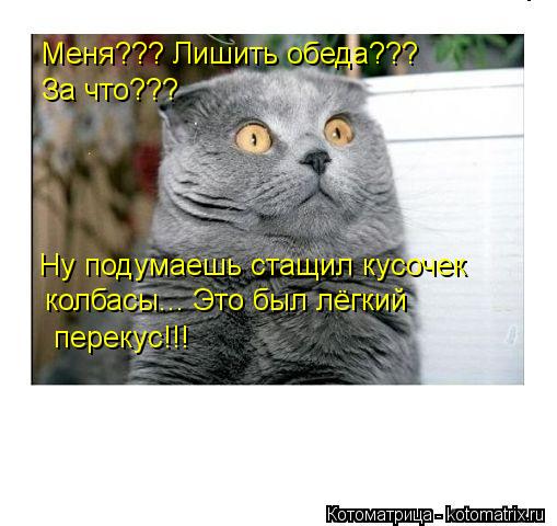Котоматрица: Меня??? Лишить обеда??? За что??? Ну подумаешь стащил кусочек колбасы... Это был лёгкий перекус!!!