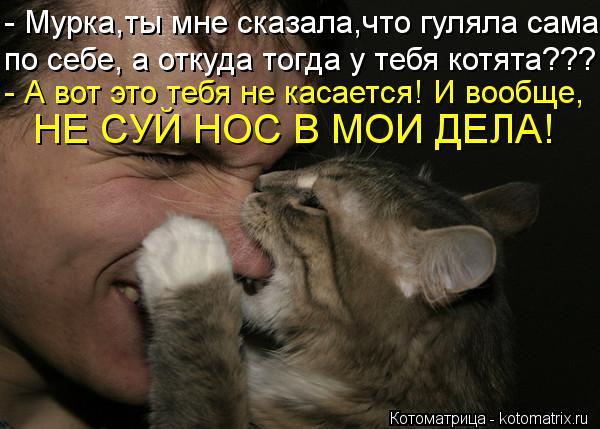 Котоматрица: - Мурка,ты мне сказала,что гуляла сама по себе, а откуда тогда у тебя котята??? - А вот это тебя не касается! И вообще, НЕ СУЙ НОС В МОИ ДЕЛА!