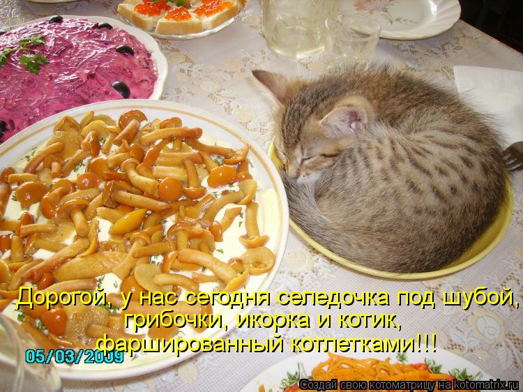 Котоматрица: Дорогой, у нас сегодня селедочка под шубой, грибочки, икорка и котик,  фаршированный котлетками!!!