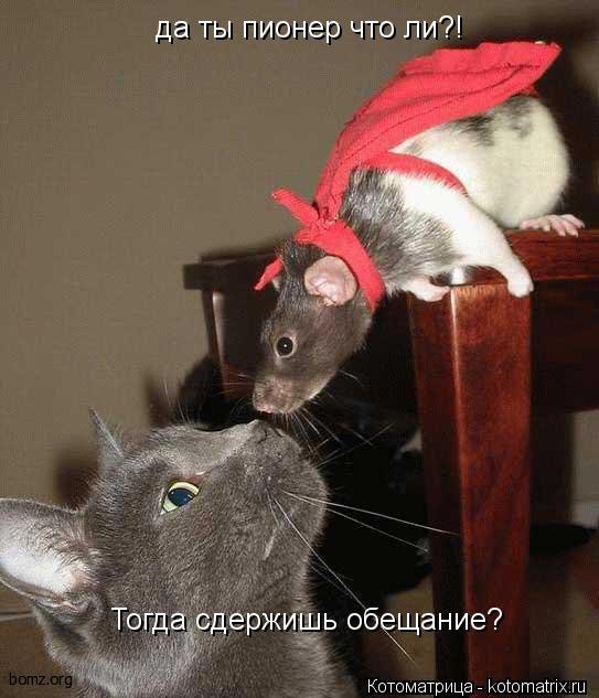 да ты пионер что ли?! Тогда сдержишь обещание?... Котоматрица: да ты пионер что ли?! Тогда сдержишь обещание?
