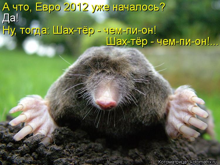 А что, Евро 2012 уже началось? Да! Ну, тогда: Шах-тёр - чем-пи-он! Шах-тёр - чем-пи-он!...... Котоматрица: А что, Евро 2012 уже началось? Да! Ну, тогда: Шах-тёр - чем-пи-он! Шах-тёр - чем-пи-он!...