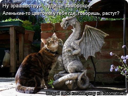 Котоматрица: Ну зрааавствуй, чудище заморское. Аленькие-то цветочки у тебя где, говоришь, растут?