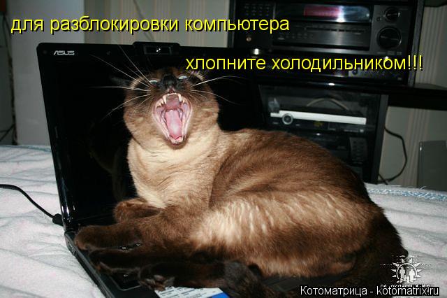 для разблокировки компьютера хлопните холодильником!!!... Котоматрица: для разблокировки компьютера хлопните холодильником!!!