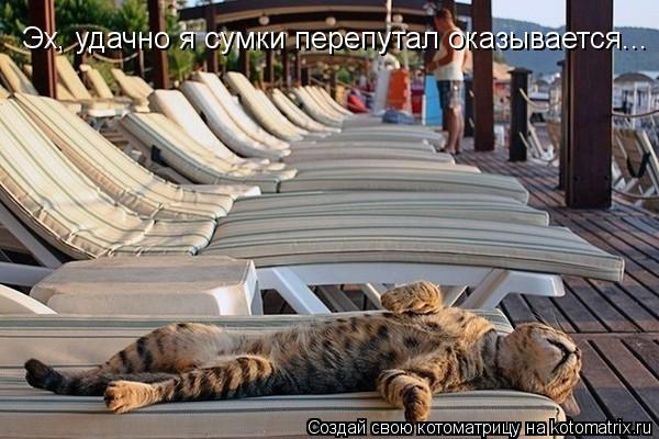 Котоматрица: Эх, удачно я сумки перепутал оказывается...