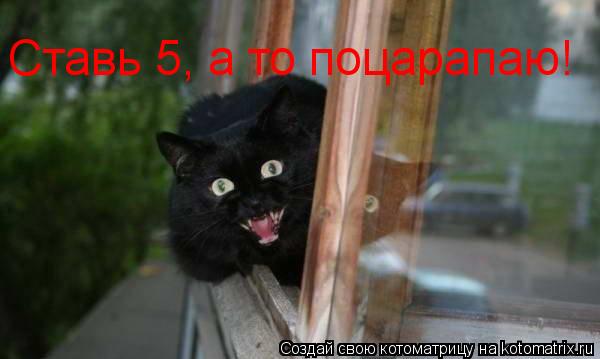 Ставь 5, а то поцарапаю!... Котоматрица: Ставь 5, а то поцарапаю!