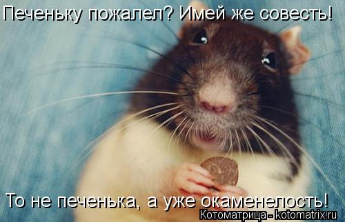 Котоматрица: Печеньку пожалел? Имей же совесть! То не печенька, а уже окаменелость!