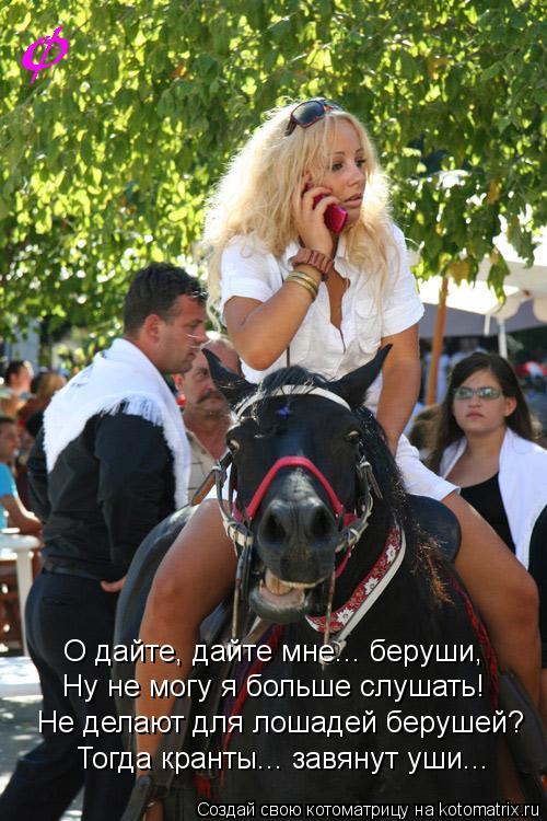 О дайте, дайте мне... беруши, Ну не могу я больше слушать! Не делают для лошадей берушей? Тогда крант... Котоматрица: О дайте, дайте мне... беруши, Ну не могу я больше слушать! Не делают для лошадей берушей? Тогда кранты... завянут уши...