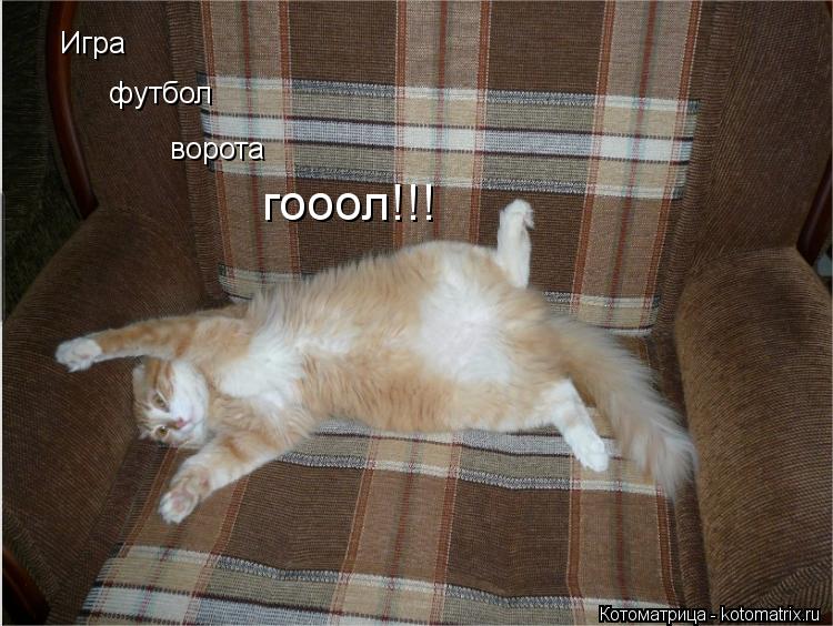 Котоматрица: Игра футбол ворота гооол!!!