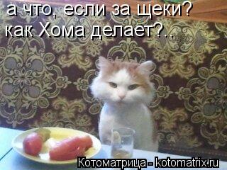 Котоматрица: а что, если за щеки? как Хома делает?..