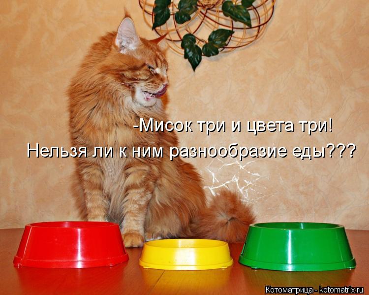 -Мисок три и цвета три! Нельзя ли к ним разнообразие еды???... Котоматрица: -Мисок три и цвета три! Нельзя ли к ним разнообразие еды???
