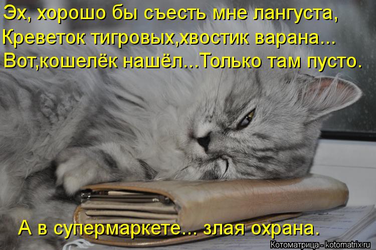 Эх, хорошо бы съесть мне лангуста, Креветок тигровых,хвостик варана... Вот,кошелёк нашёл...Только там... Котоматрица: Эх, хорошо бы съесть мне лангуста, Креветок тигровых,хвостик варана... Вот,кошелёк нашёл...Только там пусто. А в супермаркете... злая охрана.