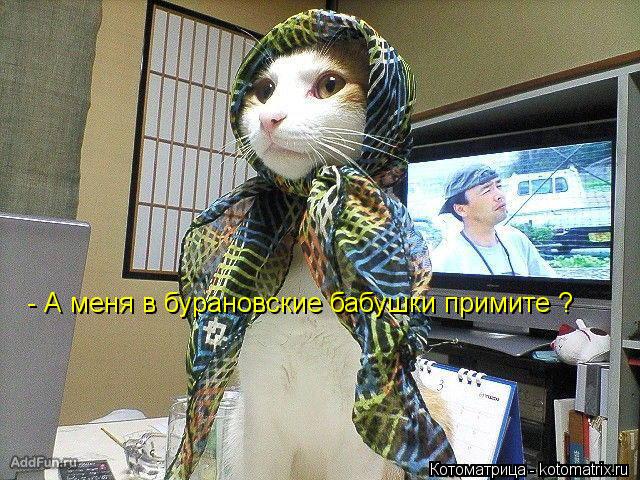 Котоматрица: - А меня в бурановские бабушки примите ?