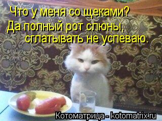 Что у меня со щеками? Да полный рот слюны, сглатывать не успеваю.... Котоматрица: Что у меня со щеками? Да полный рот слюны, сглатывать не успеваю.