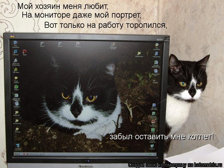 Мой хозяин меня любит, На мониторе даже мой портрет, Вот только на работу торопился, забыл оставить м... Котоматрица: Мой хозяин меня любит, На мониторе даже мой портрет, Вот только на работу торопился, забыл оставить мне котлет!