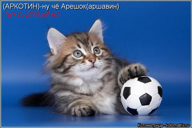 (АРКОТИН)-ну чё Арешок(аршавин) Го? СЫГРАНЁМ?...... Котоматрица: (АРКОТИН)-ну чё Арешок(аршавин) Го? СЫГРАНЁМ?...