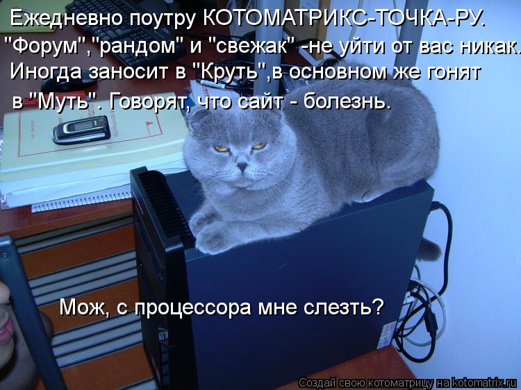 Ежедневно поутру КОТОМАТРИКС-ТОЧКА-РУ. "Форум","рандом" и "свежак" -не уйти от вас никак. Иногда зано... Котоматрица: Ежедневно поутру КОТОМАТРИКС-ТОЧКА-РУ. "Форум","рандом" и "свежак" -не уйти от вас никак. Иногда заносит в "Круть",в основном же гонят в "Муть". Г