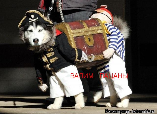 ВАЛИМ ПАЦАНЫ... Котоматрица: ВАЛИМ ПАЦАНЫ