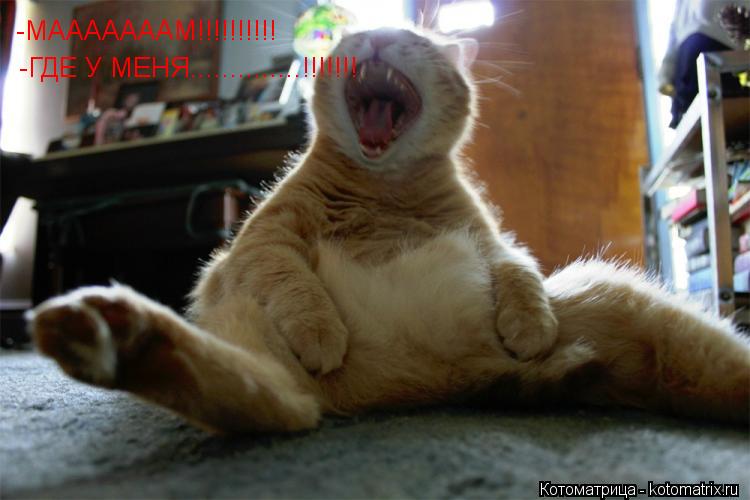 -МАААААААМ!!!!!!!!!! -ГДЕ У МЕНЯ..............!!!!!!!... Котоматрица: -МАААААААМ!!!!!!!!!! -ГДЕ У МЕНЯ..............!!!!!!!