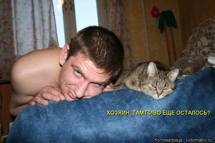 ХОЗЯИН, ТАМ ПИВО ЕЩЕ ОСТАЛОСЬ?... Котоматрица: ХОЗЯИН, ТАМ ПИВО ЕЩЕ ОСТАЛОСЬ?