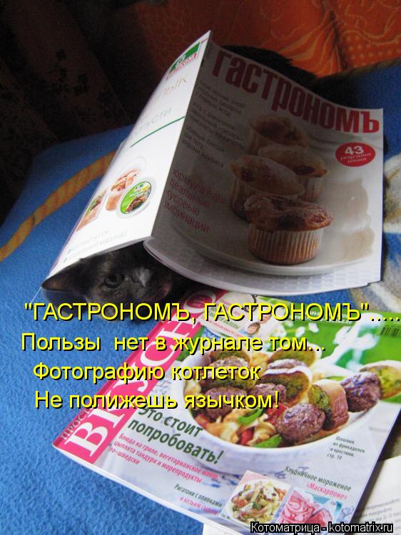 "ГАСТРОНОМЪ, ГАСТРОНОМЪ"..... Пользы нет в журнале том... Фотографию котлеток Не полижешь язычком!... Котоматрица: "ГАСТРОНОМЪ, ГАСТРОНОМЪ"..... Пользы нет в журнале том... Фотографию котлеток Не полижешь язычком!