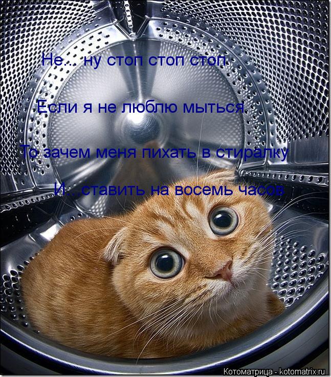 Не... ну стоп стоп стоп Если я не люблю мыться То зачем меня пихать в стиралку И...ставить на восемь... Котоматрица: Не... ну стоп стоп стоп Если я не люблю мыться То зачем меня пихать в стиралку И...ставить на восемь часов