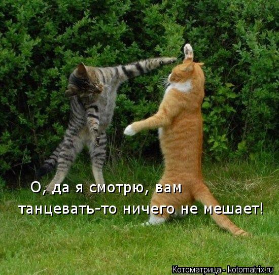 О, да я смотрю, вам танцевать-то ничего не мешает!... Котоматрица: О, да я смотрю, вам танцевать-то ничего не мешает!