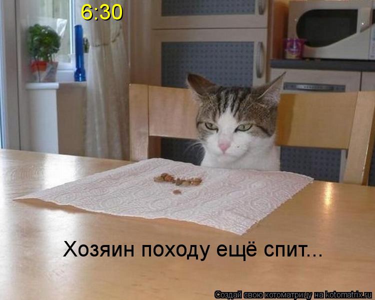 6:30 Хозяин походу ещё спит...... Котоматрица: 6:30 Хозяин походу ещё спит...