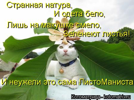 Лишь на макушке смело, И одета бело, Странная натура, Зеленеют листья! И неужели это,сама ЛистоМанист... Котоматрица: Лишь на макушке смело, И одета бело, Странная натура, Зеленеют листья! И неужели это,сама ЛистоМаниста